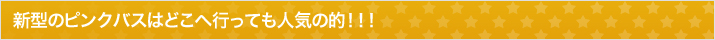 新型のピンクバスはどこへ行っても人気の的!!